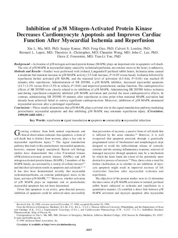 (PDF) Inhibition of p38 Mitogen-Activated Protein Kinase Decreases ...