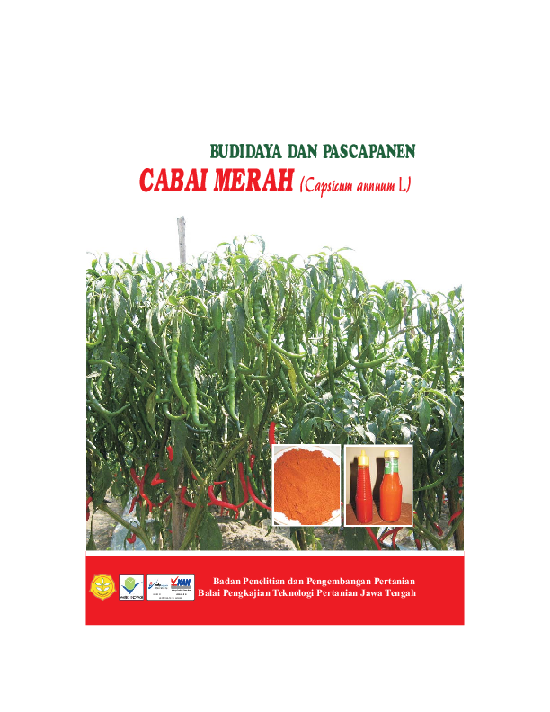 Pdf Budidaya Dan Pascapanen Cabai Merah Capsicum Annuum L Irham Maulana Academia Edu