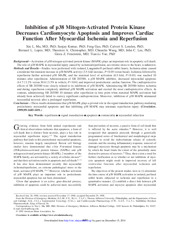 (PDF) Inhibition of p38 Mitogen-Activated Protein Kinase Decreases ...