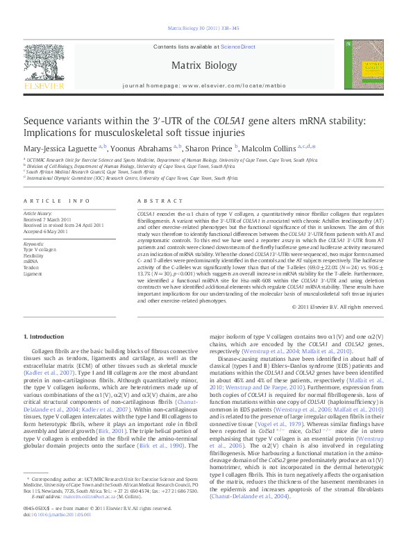 (PDF) Sequence variants within the 3′-UTR of the COL5A1 gene alters ...