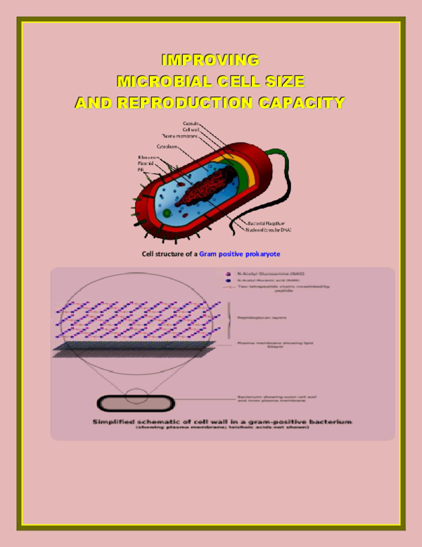 (DOC) IMPROVING MICROBIAL CELL SIZE AND REPRODUCTION CAPACITY