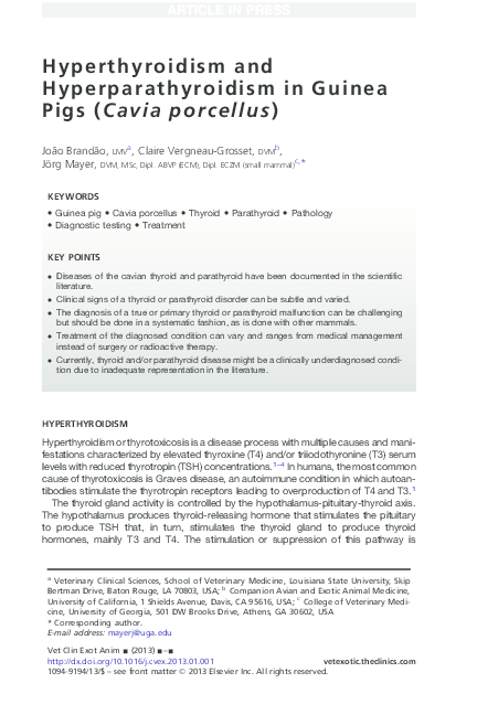 (PDF) Hyperthyroidism and Hyperparathyroidism in Guinea Pigs