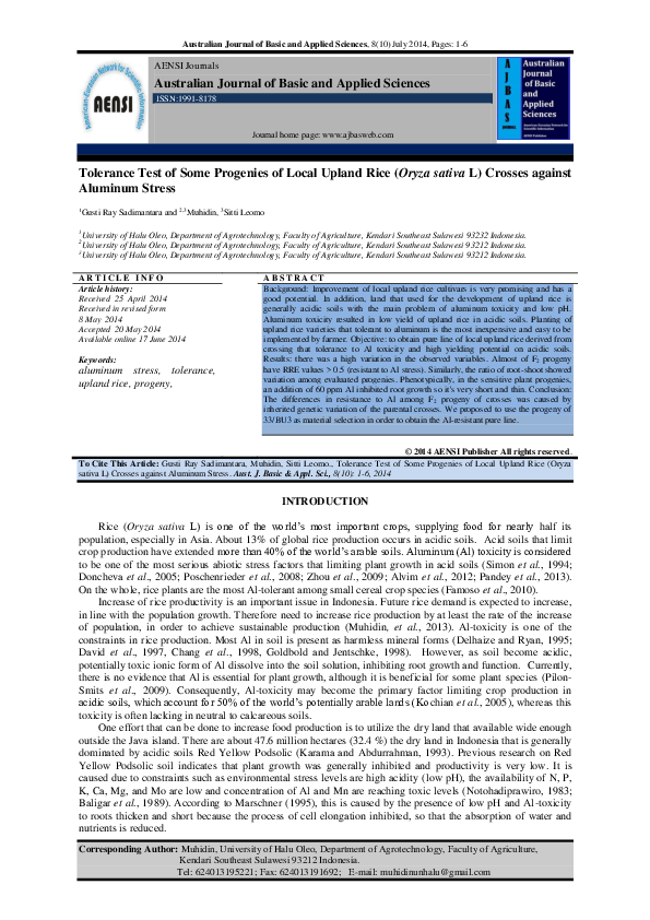 Upland rice ecosystem picture