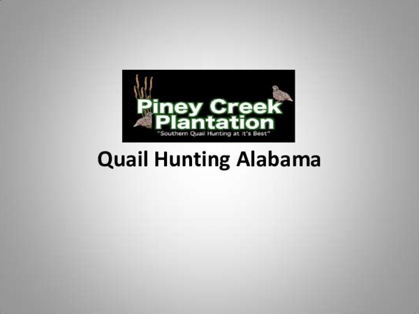 Quail Hunting Alabama | pineycreek plantation - Academia.edu