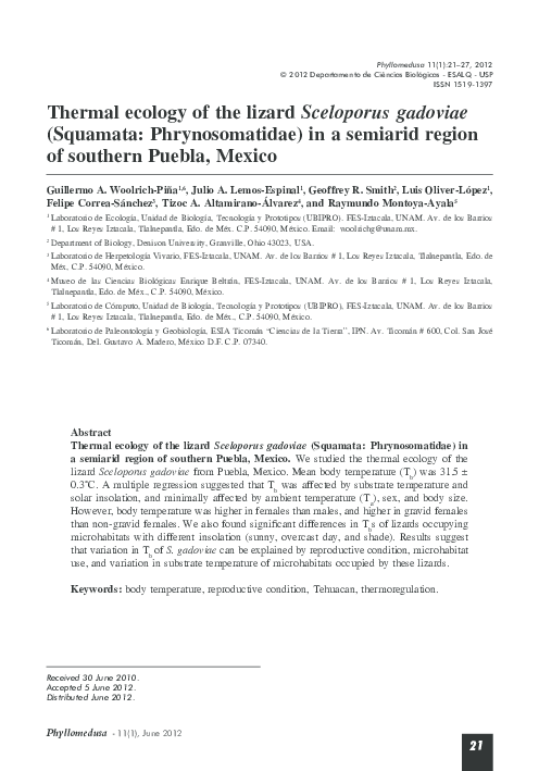 Phrynosomatidae skip essay 07 picture