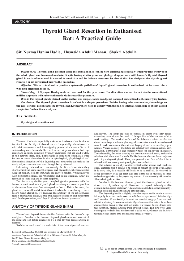 Thyroid gland hormones image