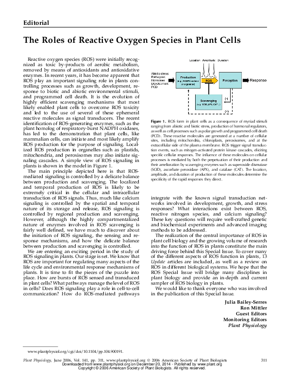 (PDF) The Roles of Reactive Oxygen Species in Plant Cells
