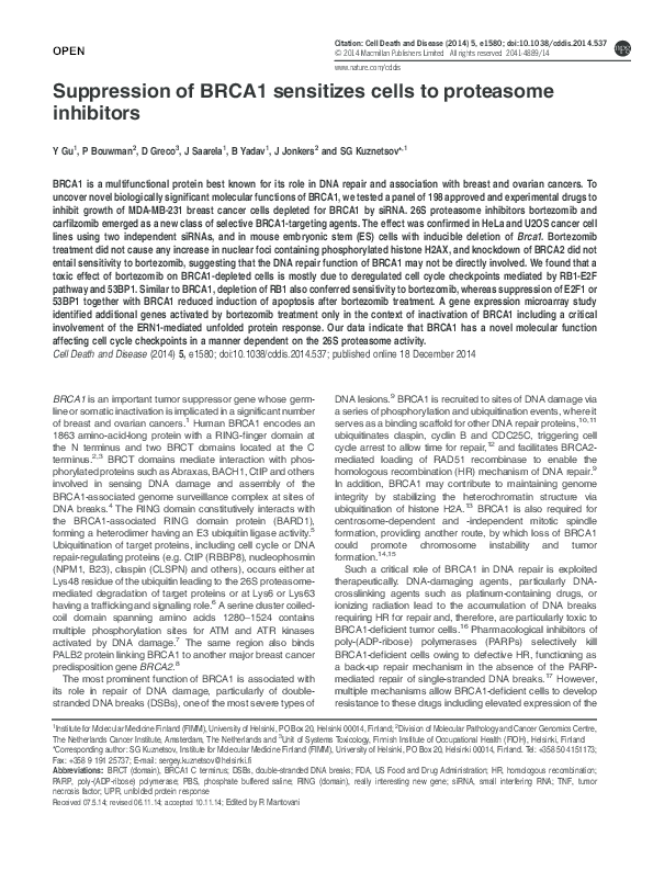 (PDF) Suppression of BRCA1 sensitizes cells to proteasome inhibitors