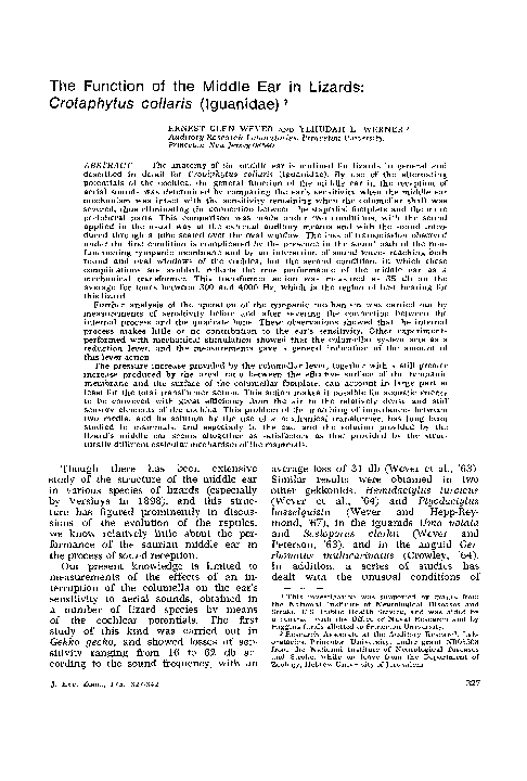 (PDF) The function of the middle ear in lizards:Crotaphytus collaris ...