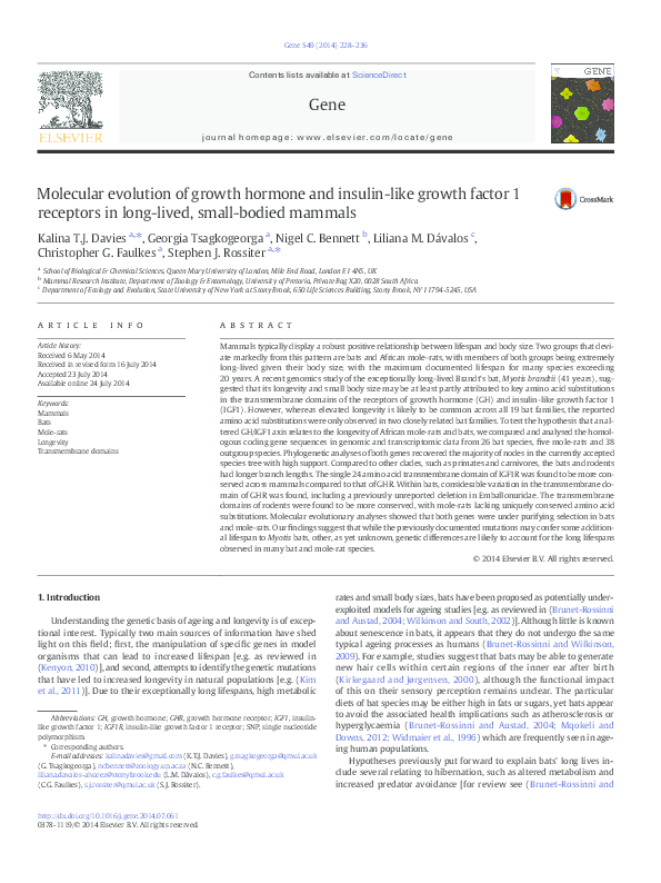 (PDF) Molecular evolution of growth hormone and insulin-like growth ...