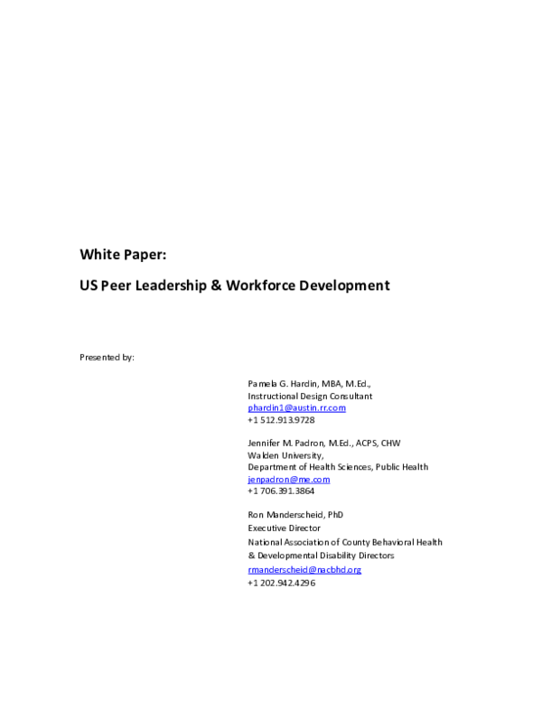 (DOC) White Paper US Peer Leadership and Workforce Development