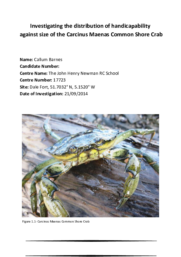 Blue crab common name image