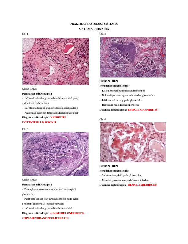 (DOC) Patologi Sistemik