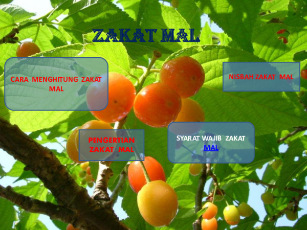 Ppt Zakat Mal Hana Ishida Academia Edu