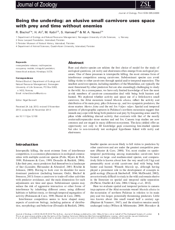 Being prey essay image