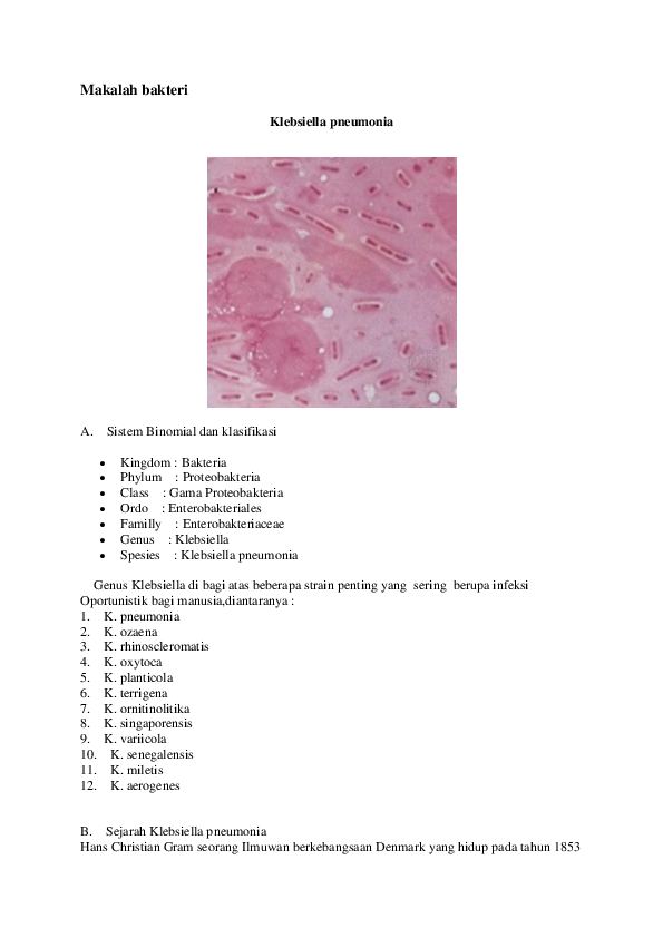 bacterii klebsiella