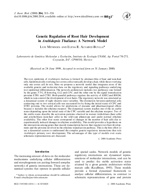 Arabidopsis thaliana plant picture