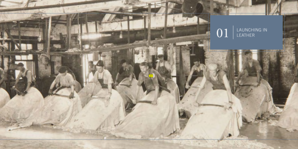 Haas 2009 essays 05 picture