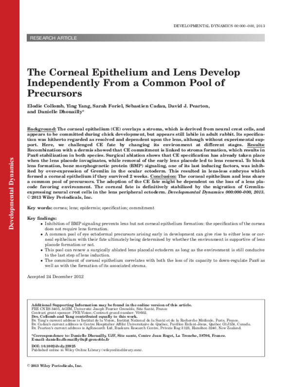 (PDF) The Corneal Epithelium and Lens Develop Independently From a ...