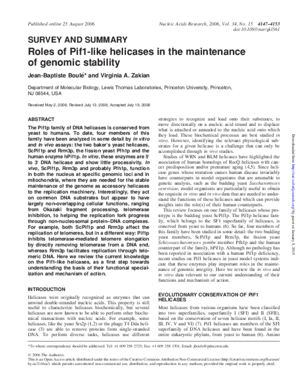 Jean stafford stafford jean vol 19 essay 08 image