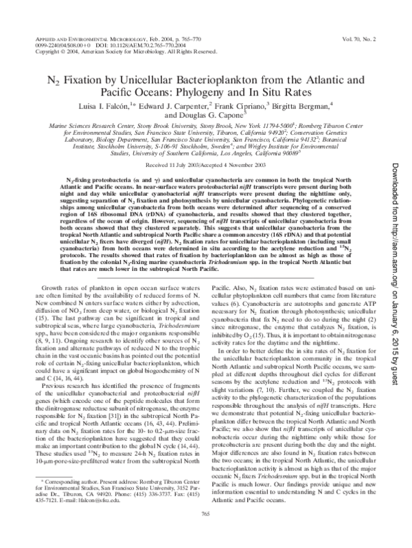 (PDF) N2 Fixation by Unicellular Bacterioplankton from the Atlantic and ...