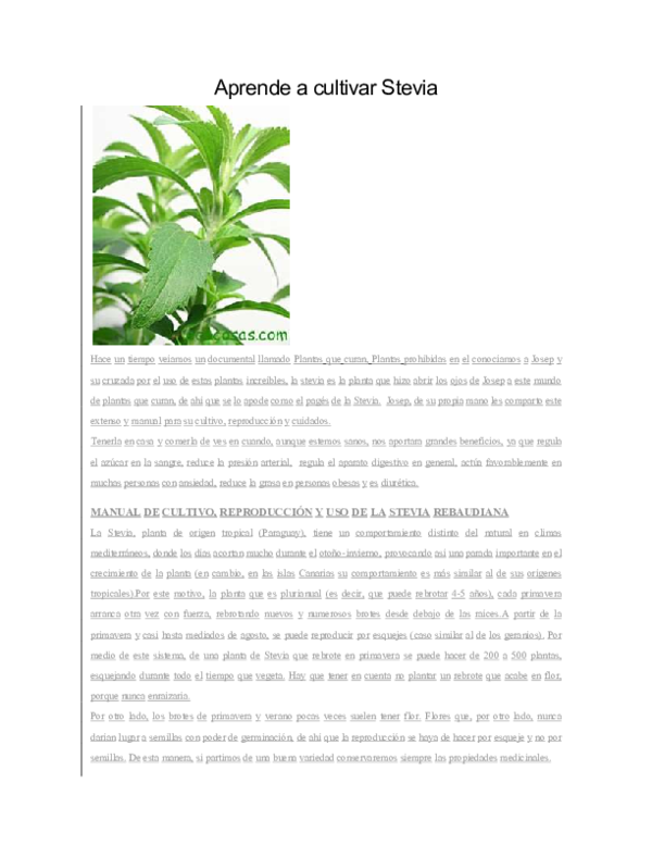 (PDF) Aprende a cultivar Stevia MANUAL DE CULTIVO, REPRODUCCIÓN Y USO
