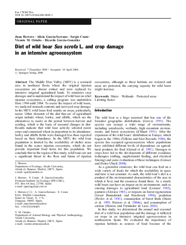 (PDF) Diet of wild boar Sus scrofa L. and crop damage in an intensive ...