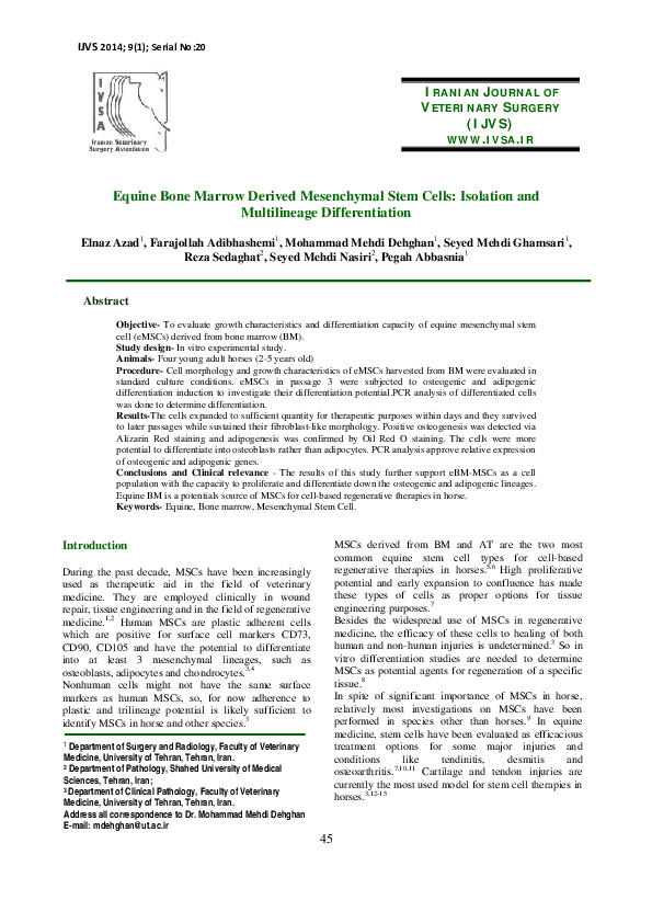 (PDF) Equine Bone Marrow Derived Mesenchymal Stem Cells: Isolation and ...