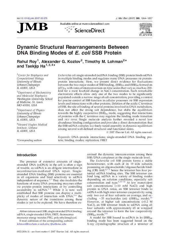 (PDF) Dynamic Structural Rearrangements Between DNA Binding Modes of E ...