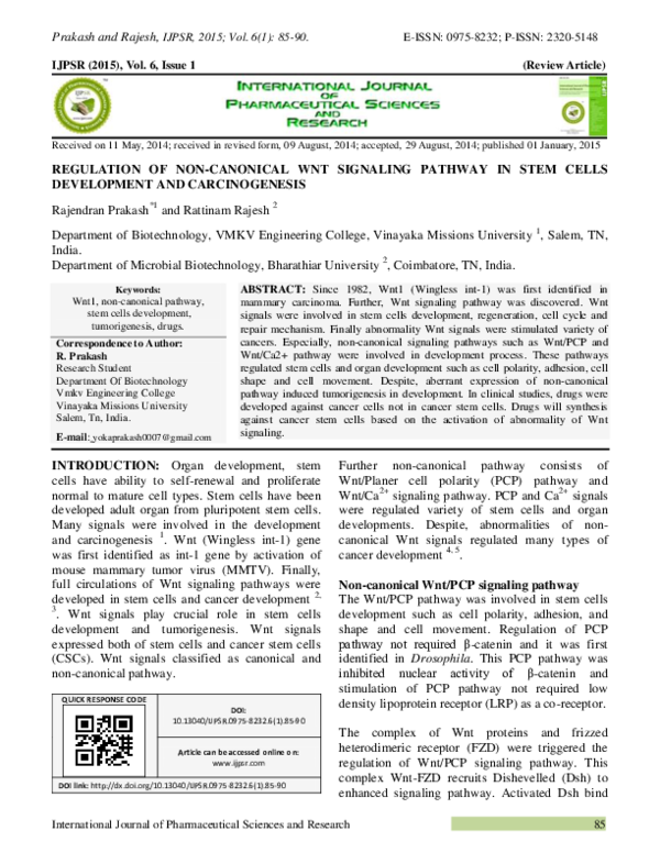(PDF) REGULATION OF NON-CANONICAL WNT SIGNALING PATHWAY IN STEM CELLS ...
