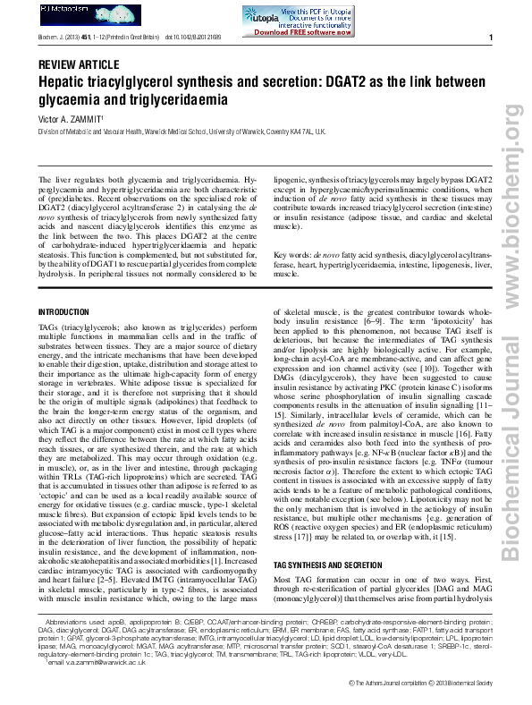 (PDF) Hepatic triacylglycerol synthesis and secretion: DGAT2 as the ...