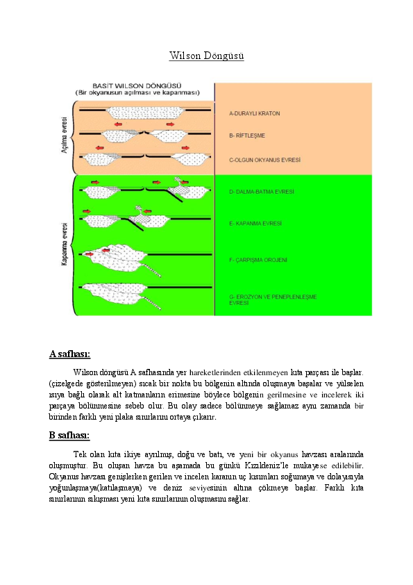 (PDF) WİLSON DÖNGÜSÜ Alperen Tolga Gozutok Academia.edu