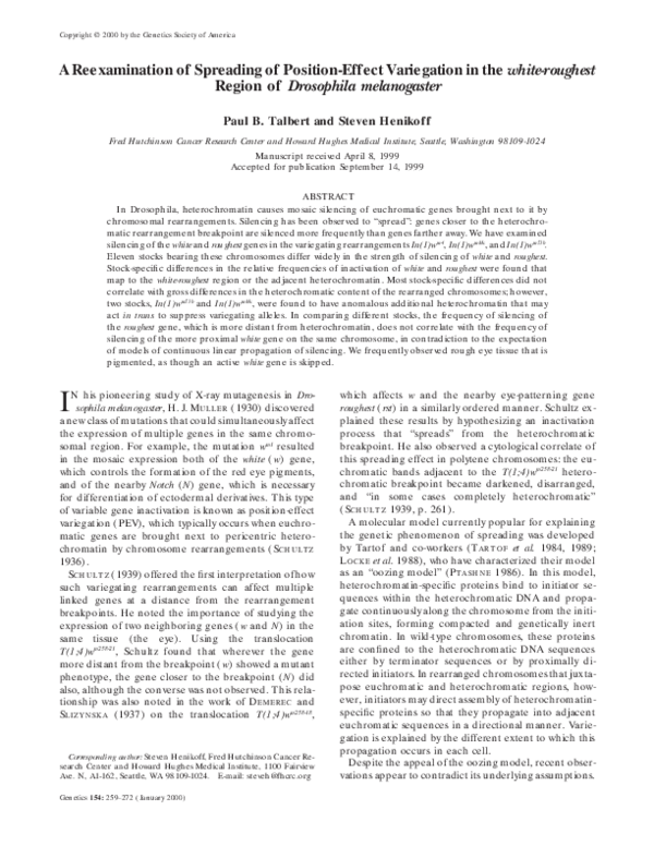 (PDF) A Reexamination of Spreading of Position-Effect Variegation in ...