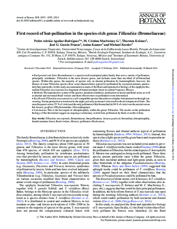 (PDF) First record on batpollination in the speciesrich genus