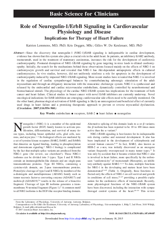 (PDF) Role of Neuregulin-1/ErbB Signaling in Cardiovascular Physiology ...