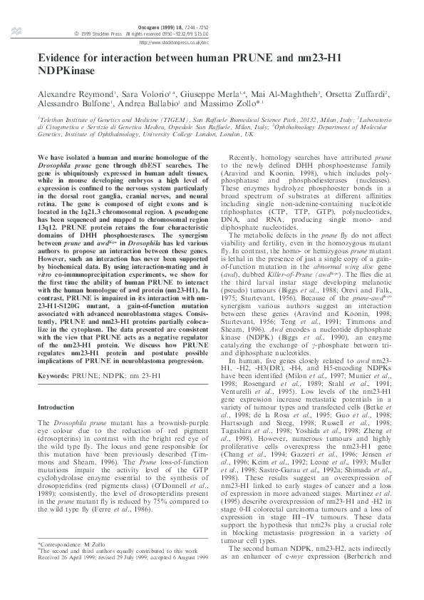 (PDF) Evidence for interaction between human PRUNE and nm23-H1 NDPKinase