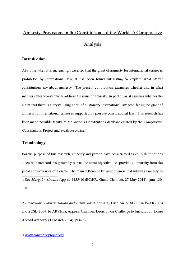 Essay on amnesty 06 picture