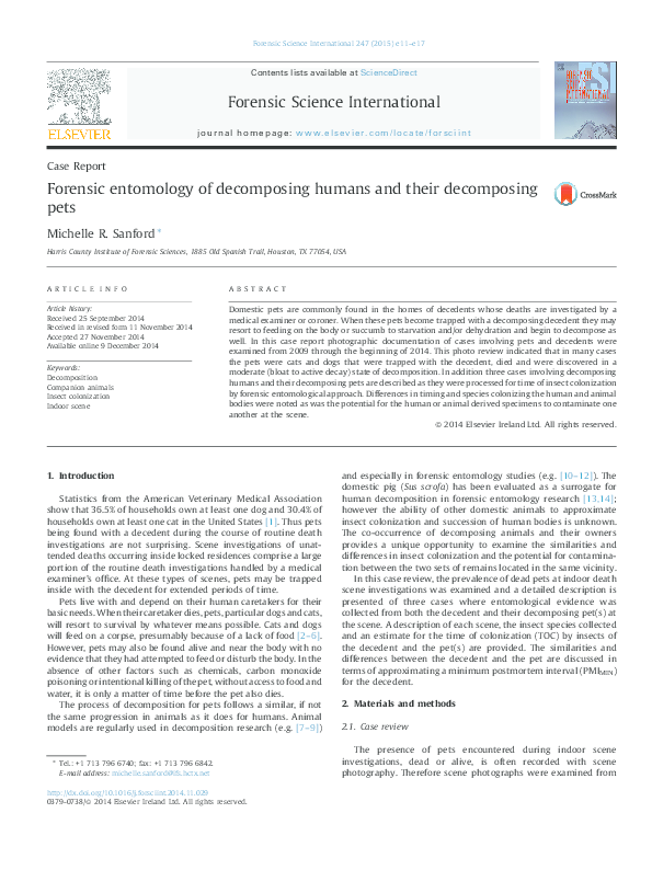 Forensic entomology essays 08 picture