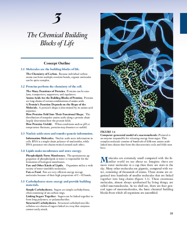 (PDF) The chemical building blocks of life magendira mani vinayagam