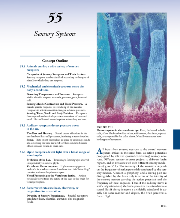 Sensory systems clinic picture