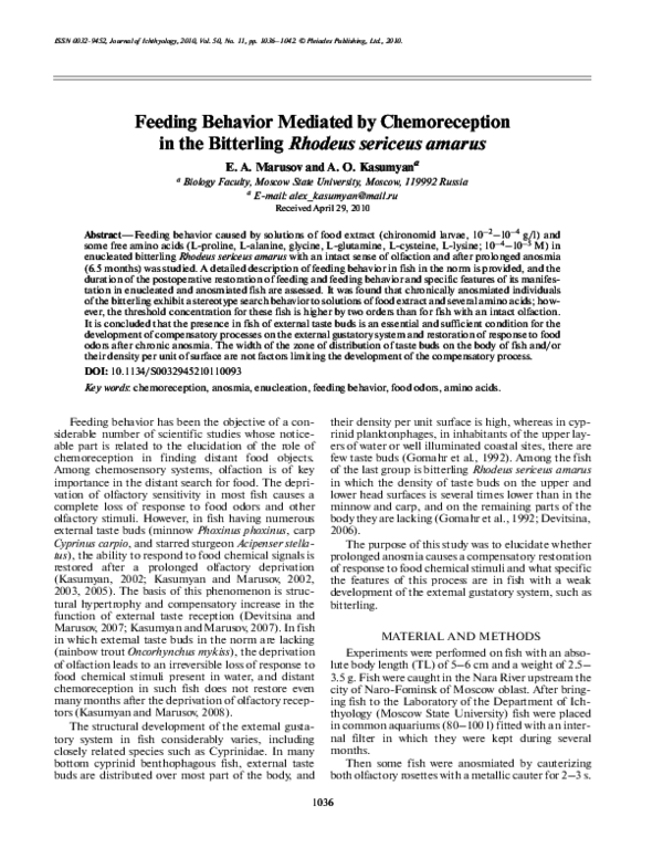 (PDF) Feeding behavior mediated by chemoreception in the bitterling ...
