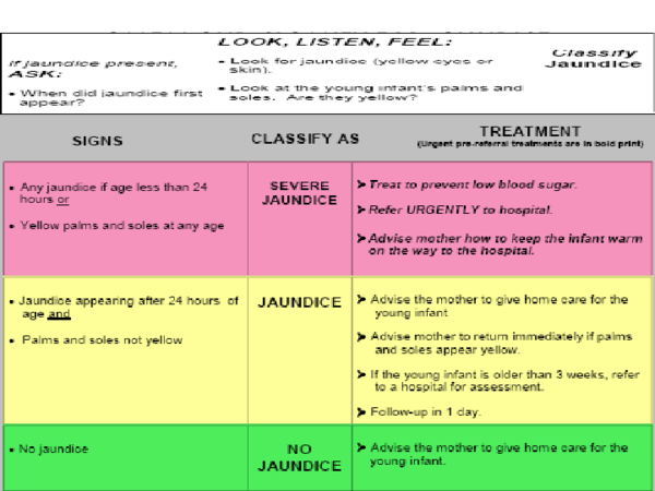 (PDF) IMNCI FOR THE YOUNG INFANT