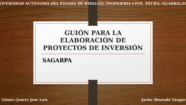 (PPT) GUION PARA LA ELABORACION DE PROYECTOS DE INVERSION