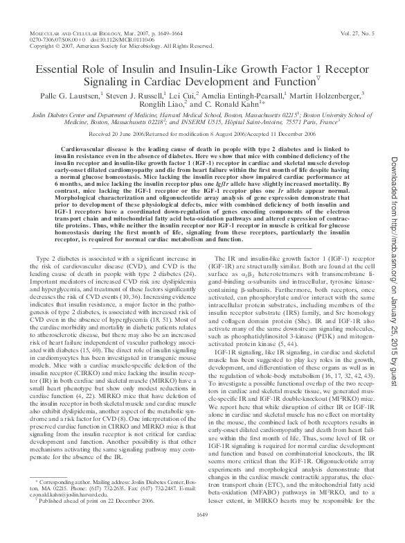(PDF) Essential Role of Insulin and Insulin-Like Growth Factor 1 ...