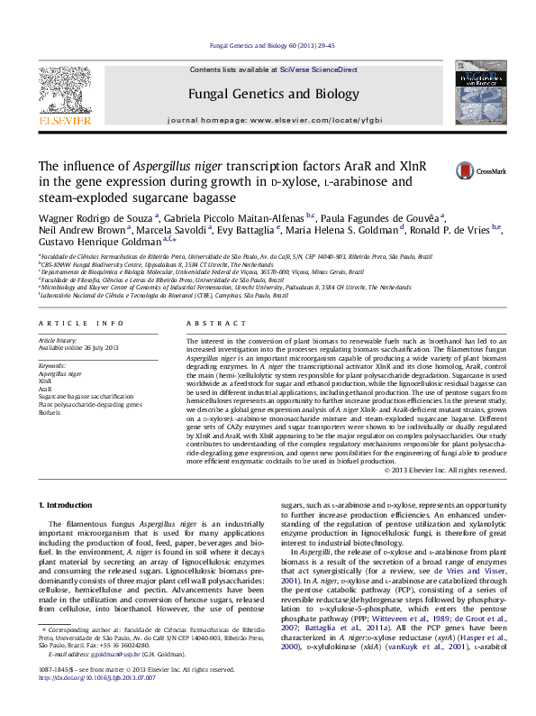 (PDF) The inﬂuence of Aspergillus niger transcription factors AraR and ...