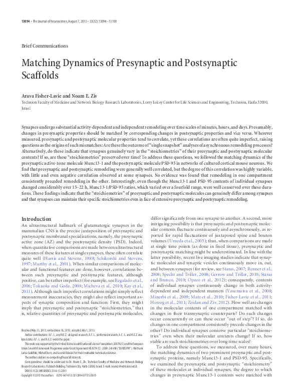 (PDF) Matching Dynamics of Presynaptic and Postsynaptic Scaffolds