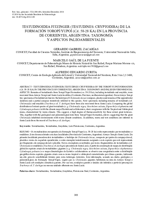 Why are sea turtles important picture