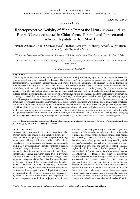 Dodder flower picture