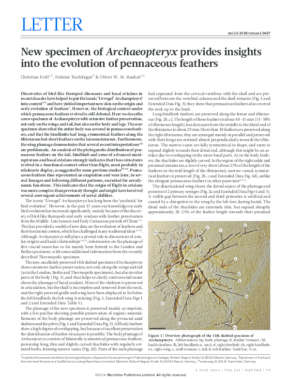 New specimen of Archaeopteryx provides insights into the evolution of ...