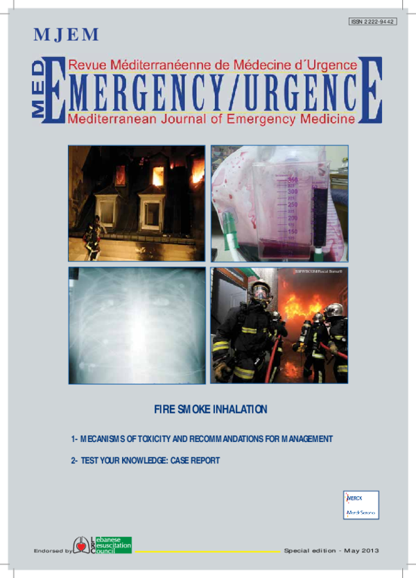 (PDF) Fire smoke inhalation mecanisms of toxicity and